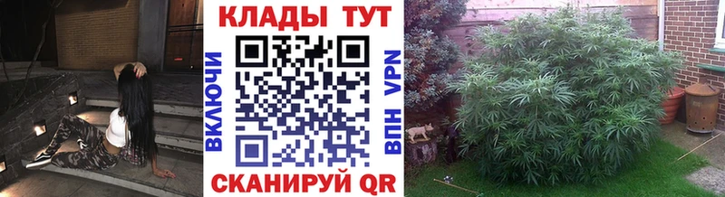 Купить Гашиш  Псилоцибиновые грибы  СОЛЬ  Мефедрон  КОКАИН  Куса