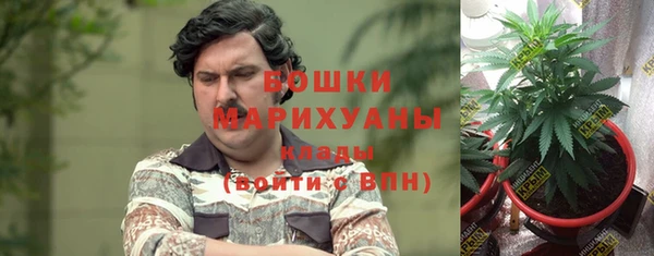 прущая мука Верея