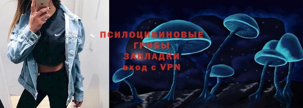 прущая мука Верхний Тагил