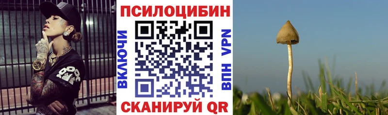 Купить Куса Псилоцибиновые грибы Cubensis